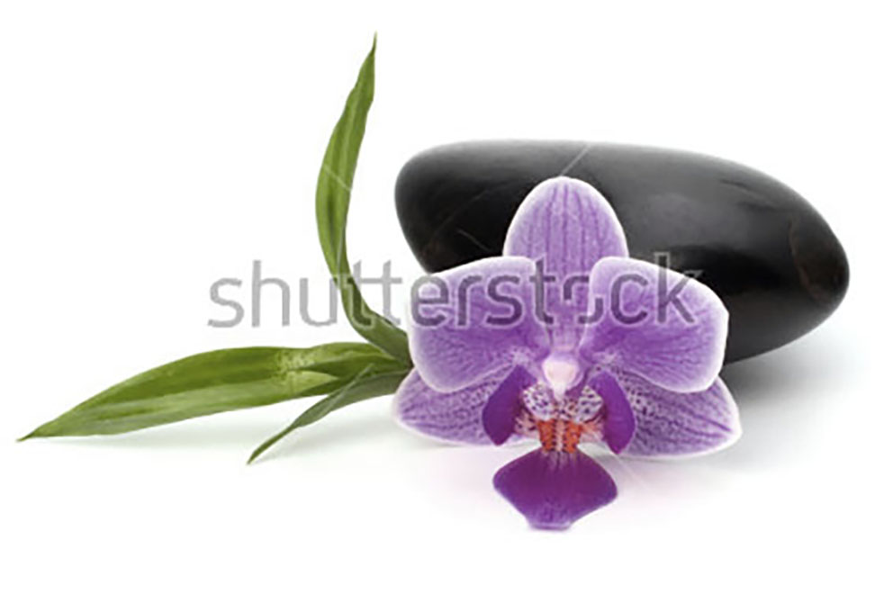 home orchidee